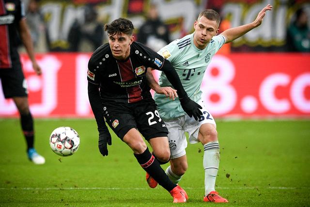 游客可于此, 来自, 温度凉爽