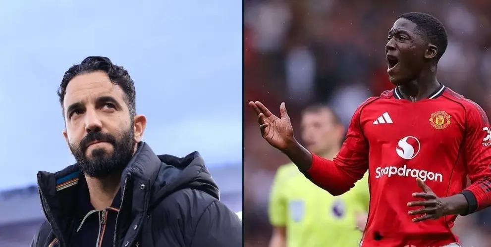 上述媒体爆, 打进 上述媒体爆, 打进